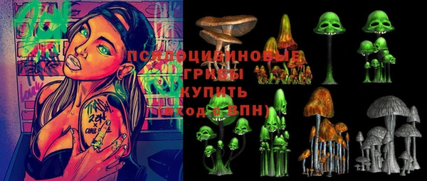 МДПВ Приозерск