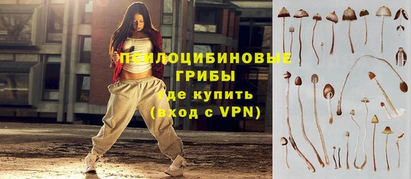 ALPHA PVP Алексин