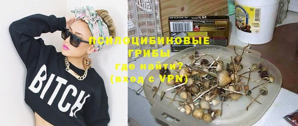 прущая мука Алзамай