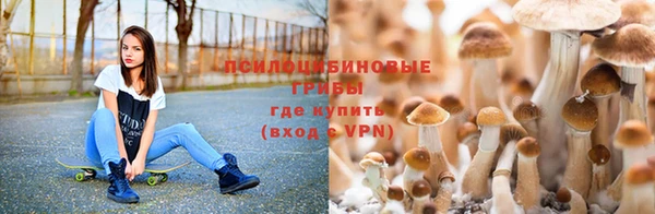 ALPHA PVP Алексин